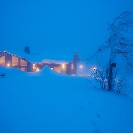 Beerenhaus Villa Altenberg Exterior photo