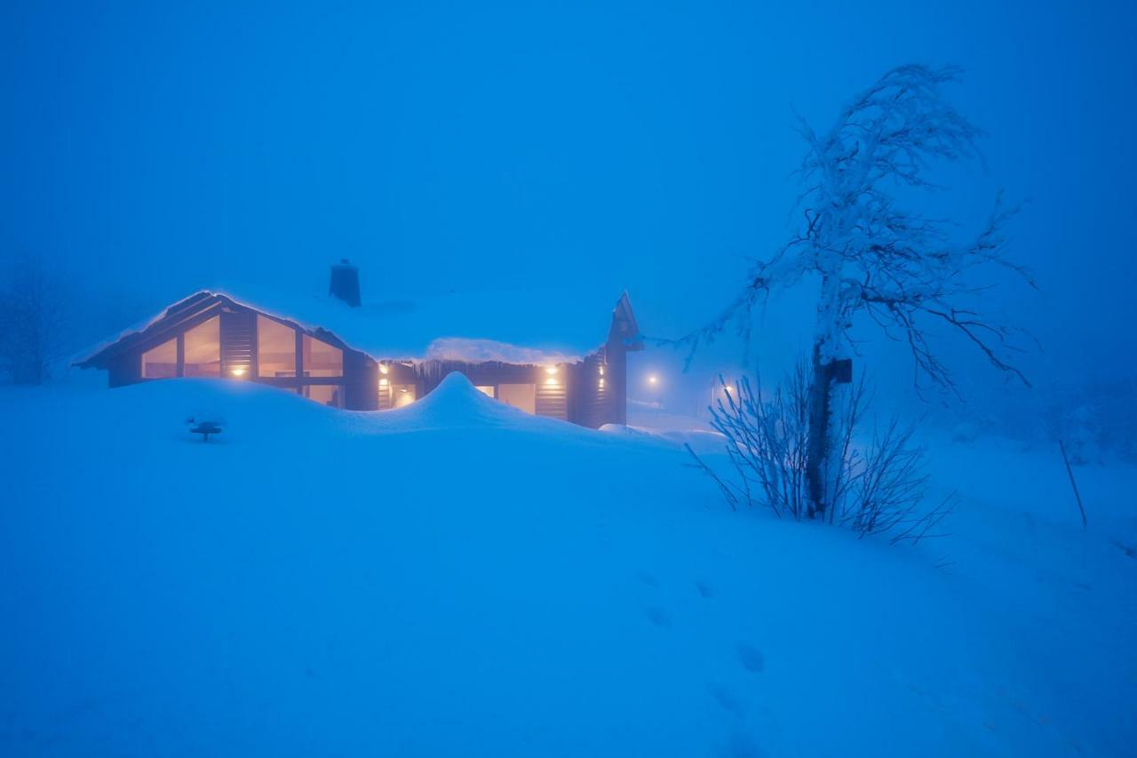 Beerenhaus Villa Altenberg Exterior photo